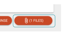 file attachment button indicating that a file has been selected